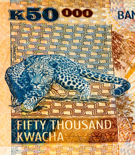 istock Currancy banknote of Africa 824065174