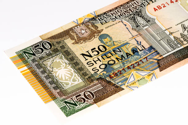 istock Currancy banknote of Africa 824065402
