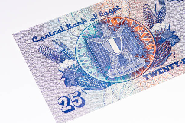 istock Currancy banknote of Africa 824065496