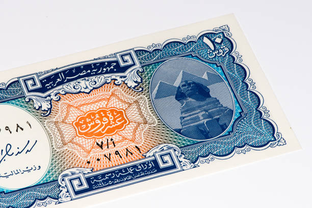 istock Currancy banknote of Africa 824065574
