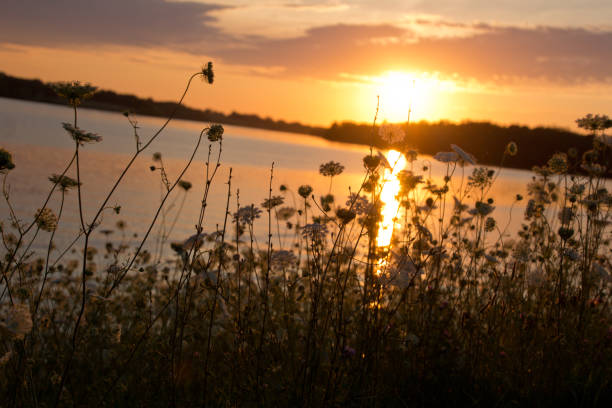 istock Lake Show-Me Sunset 824065612