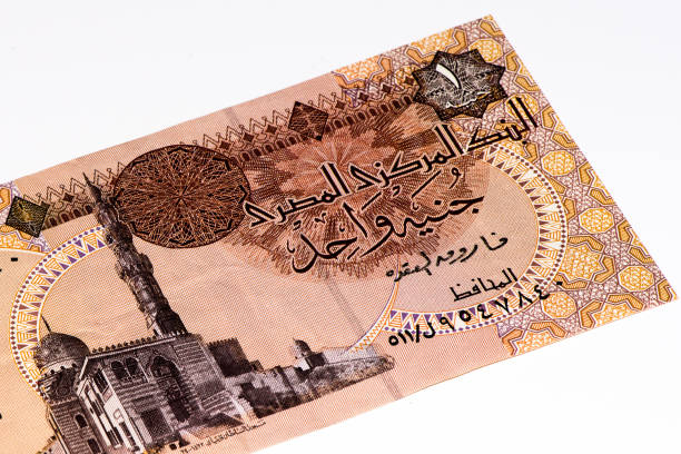 istock Currancy banknote of Africa 824065702