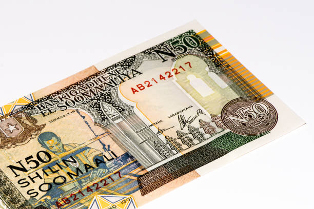istock Currancy banknote of Africa 824065706