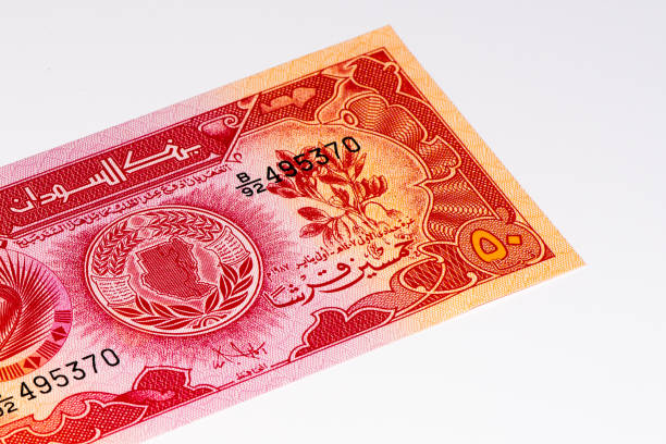 istock Currancy banknote of Africa 824065740