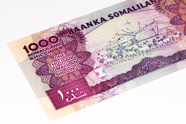 istock Currancy banknote of Africa 824065764
