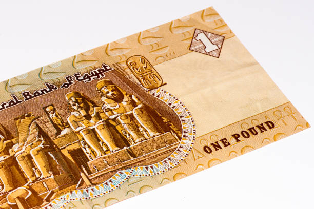 istock Currancy banknote of Africa 824065774