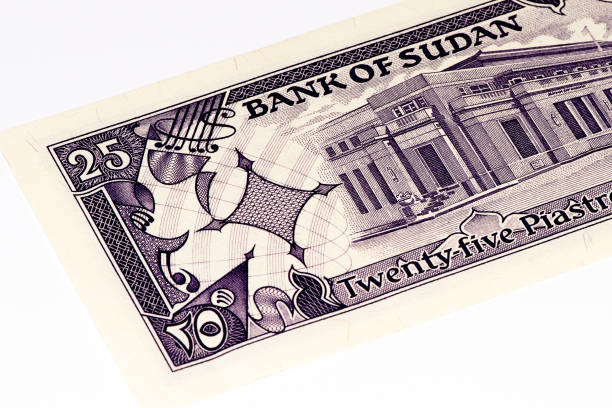 istock Currancy banknote of Africa 824065778