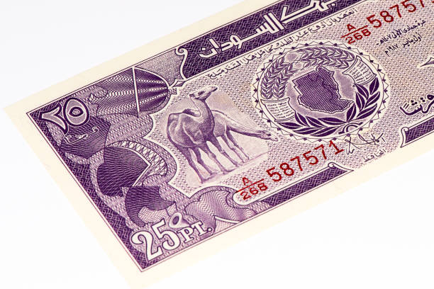 istock Currancy banknote of Africa 824065806