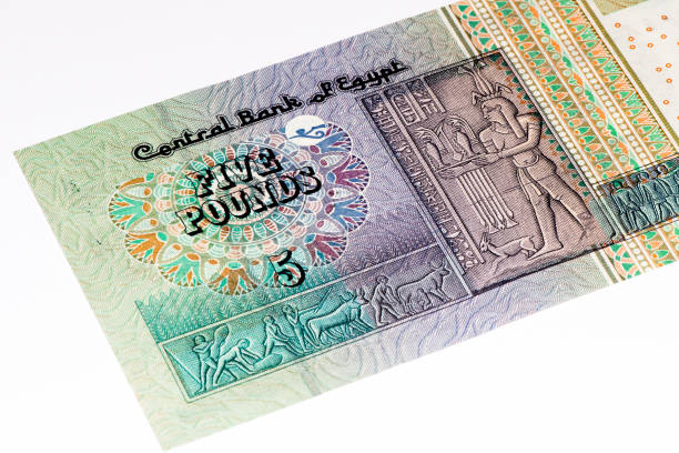 istock Currancy banknote of Africa 824065954