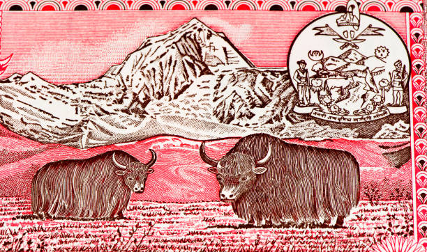 istock Currancy banknote of Asia 824071388