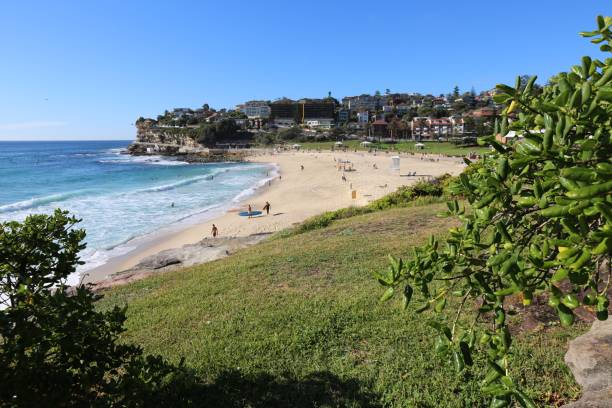 istock A sunn day at Bronte Beach in New South Wales. 824078984