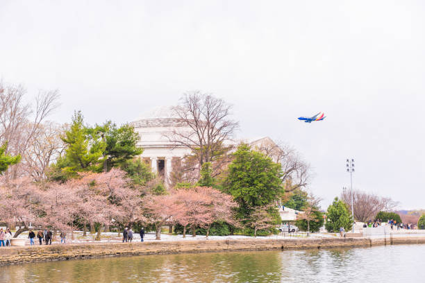 桜祭りの期間中トーマス ・ ジェファーソン記念堂の階段を歩いて多くの人々 - 3656 ストックフォトと画像