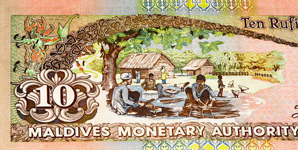 10 Maldivian rufiyaa bank note. Rufiyaa is the national cureency of Maldives