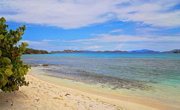 istock Sapphire beach on a Saint Vincent island 824101736