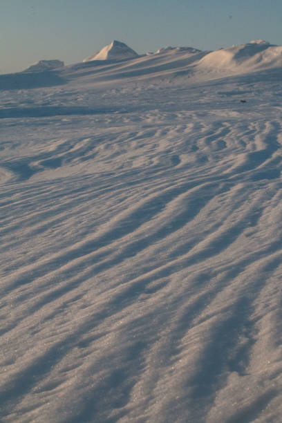 kuvapankkikuvat ja rojaltivapaat kuvat aiheesta lumen ajelehtiminen 2 - deadhorse alaska