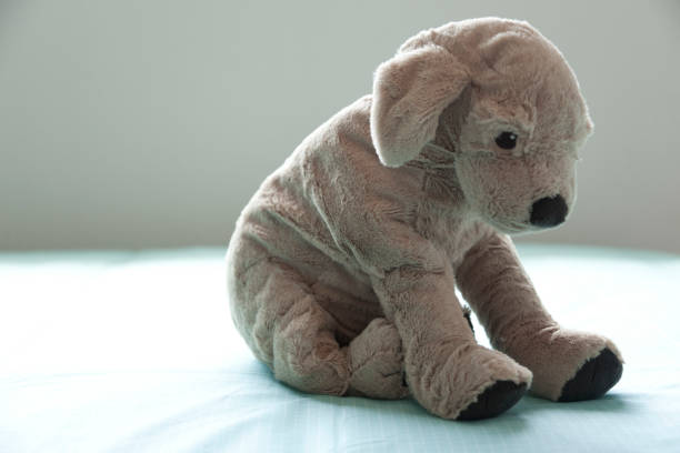 istock puppy doll on bed 824108816