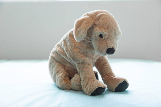 istock puppy doll on bed 824108822