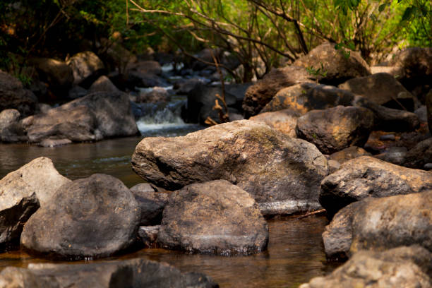 istock Mountain creek with little cascade 824111988