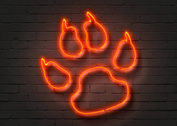 Wolf footprint, red neon sign