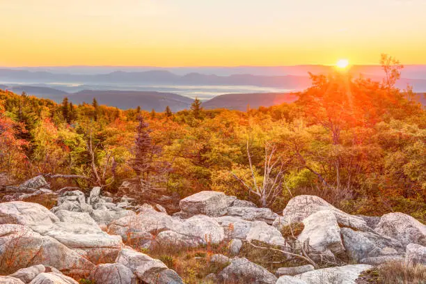 Bear rocks sunrise during autumn with rocky landscape in Dolly Sods, West Virginia