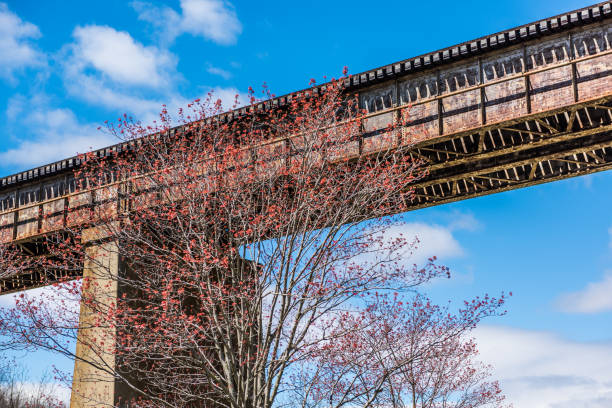 istock Railroad old bridge with red tree in Accotink park 824132756