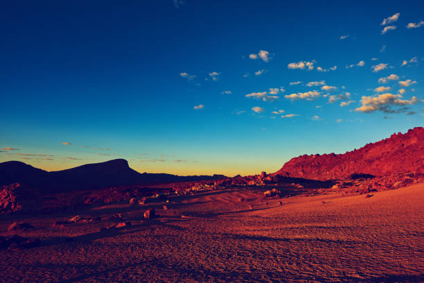 istock nature landscape in Tenerife 824139690