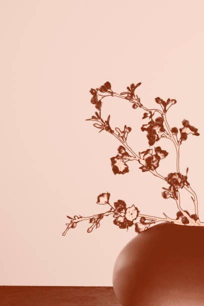 istock Sakura in a vase on a beige background. The gradient is beige-brown. Toned. 824140028