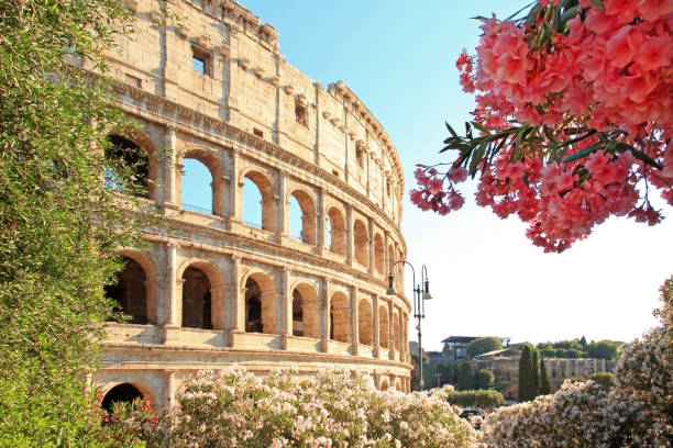 istock Colosseum in Rome 824147388