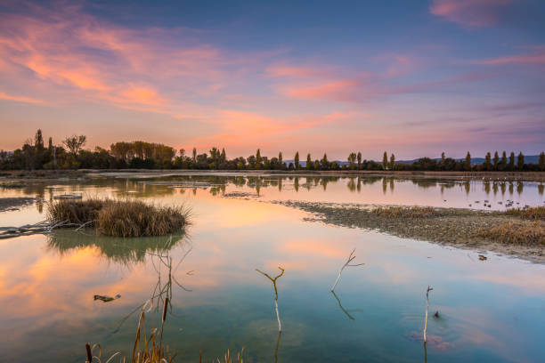 colorful swamp at sundown - mississippi river imagens e fotografias de stock