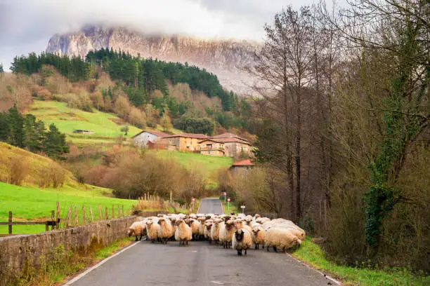 beautiful countryside of basque country, Spain