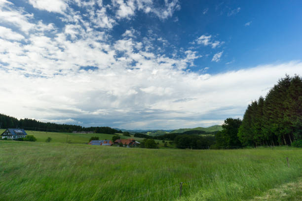 istock Wide view over black forest, blue sky and green meadows 824178486