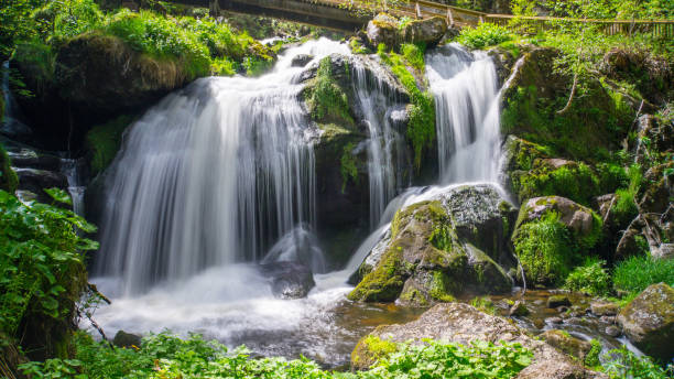 black forest - triberg waterfall at sunshine with a bridge - black forest imagens e fotografias de stock