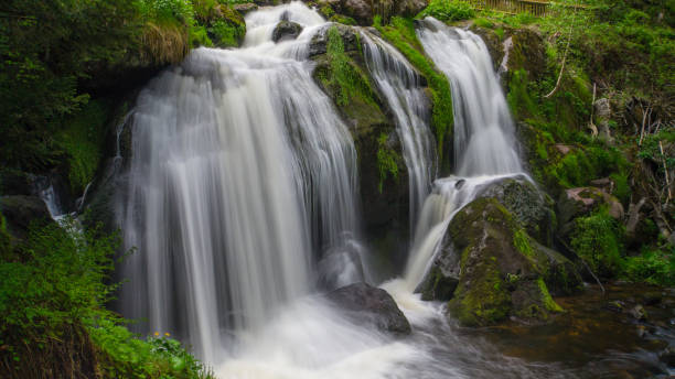 floresta negra - triberg cachoeira tempo de exposição com plantas verdes - black forest waterfall triberg landscape - fotografias e filmes do acervo