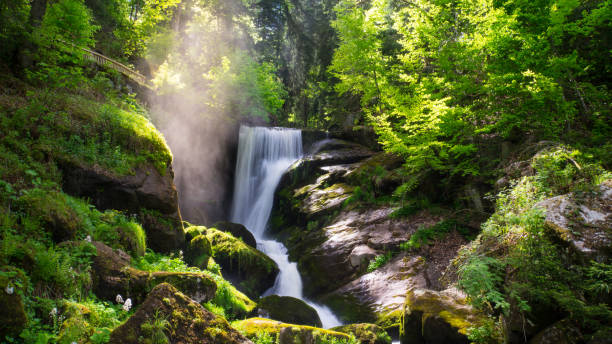 forêt-noire - triberg chute d’eau avec la vapeur et le soleil - triberg photos et images de collection