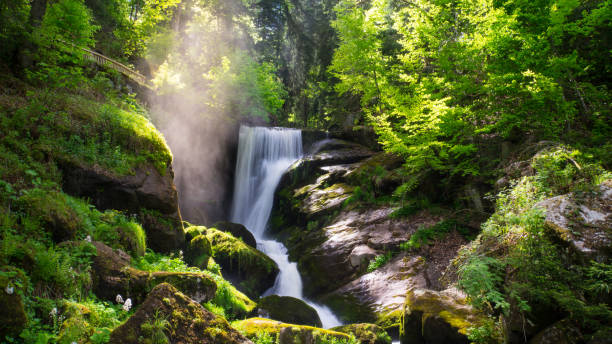 czarny las - wodospad triberg z parą i słońcem - black forest waterfall triberg landscape zdjęcia i obrazy z banku zdjęć