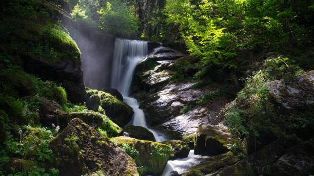 floresta negra - cachoeira de triberg com vapor e clima mística - black forest waterfall triberg landscape - fotografias e filmes do acervo