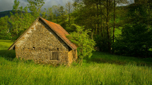 istock Old stone house on a green meadow in warm light 824185248