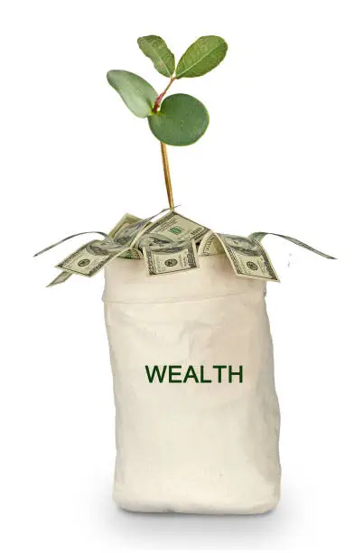 Photo of bag with wealth