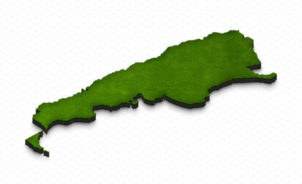 Illustration of a green ground map of Argentina on grid background. Left 3D isometric perspective projection.