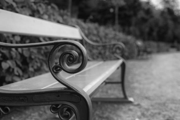 istock The bench in the garden 824187526