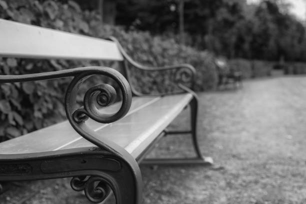 istock The bench in the garden 824189612