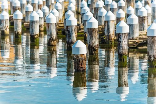 Visnetten in het IJsselmeer langs de dijk bij Andijk, Noord-Holland