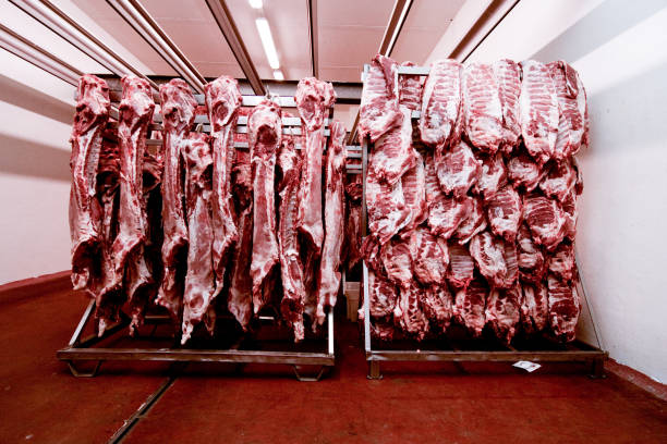 istock meat factory 824197570