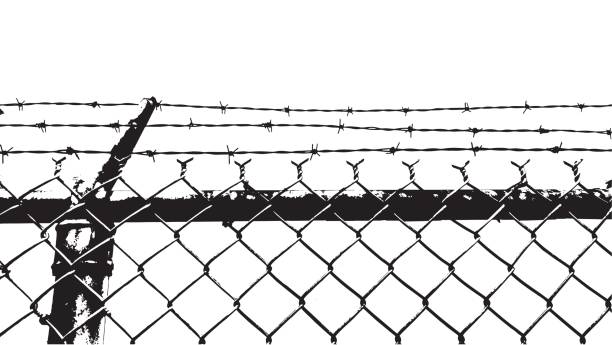 barbed wire fence Black white silhouette Metal barbed wire fence protection isolated on white for background texture prison illustrations stock illustrations