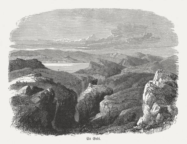 En Gedi, Israel, wood engraving, published in 1886 Mountain range and desert of En Gedi. En Gedi is the largest oasis along the western shore of the Dead Sea. The area was allotted to the tribe of Judah, and was famous in the time of Solomon (Joshoa 15, 62), and asylum of King David (1 Samuel 24). Today the Israeli kibbutz of En Gedi sits along the southern bank of the Nahal Arugot. Wood engraving, published in 1886. dead sea stock illustrations