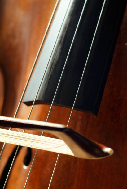 istock Detail of a violin 824204952