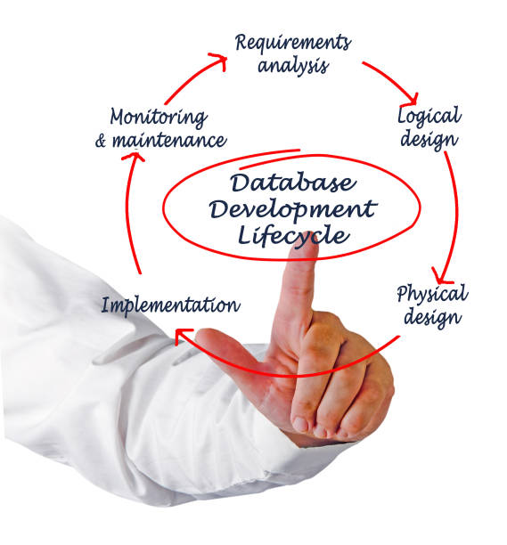 50+ Logical Database Stock Photos, Pictures & Royalty-Free Images - iStock
