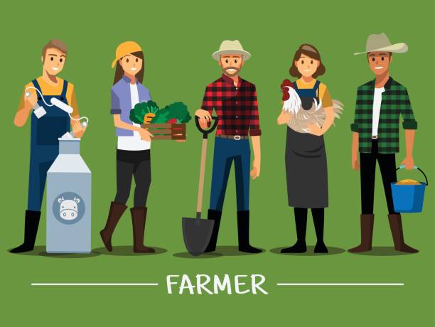 ilustrações de stock, clip art, desenhos animados e ícones de farmers and livestock set  ,vector illustration cartoon character. - farmer