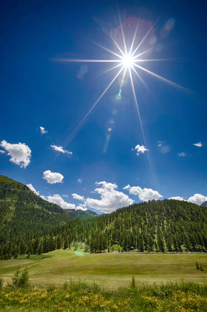 알프스 산맥 풍경 - sunspot grass area tree sun 뉴스 사진 이미지
