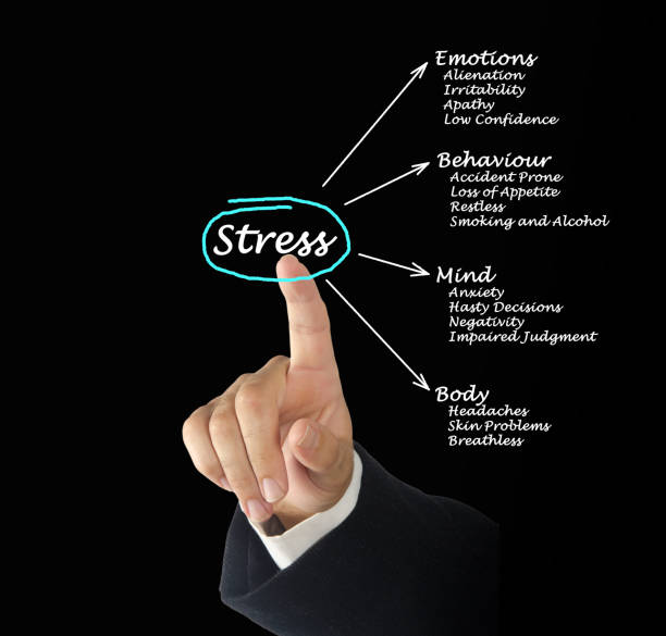 istock Diagram of stress consequences 824228736